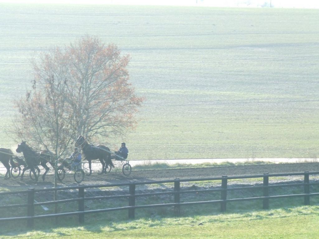 discovering french country life MY FRENCH COUNTRY HOME