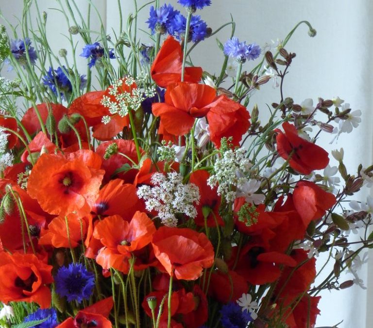 bleu blanc rouge for bastille day