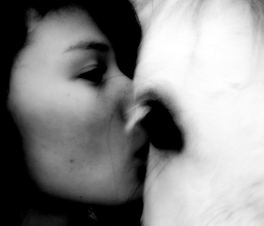 close up of a girl and her pony