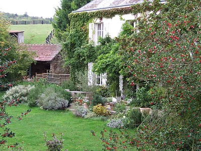 how-we-came-to-live-here-my-french-country-home view of the house through the trees