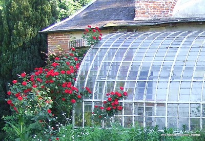 visiting-valley-rose-gardens-miserey-my-french-country-home greenhouse with roses climbing up the side