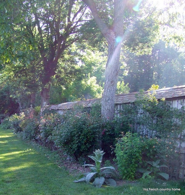 visiting-valley-rose-gardens-miserey-my-french-country-home large trees lining the garden wall