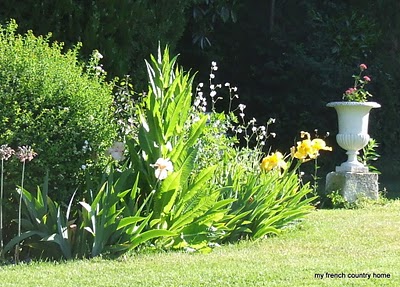 visiting-valley-rose-gardens-miserey-my-french-country-home irises in bloom with a white urn in the background