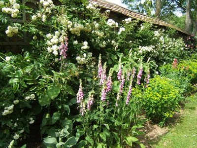 visiting-valley-rose-gardens-miserey-my-french-country-home large flowerbed with white, yellow, and purple flowers