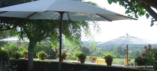white umbrellas in a terraced garden