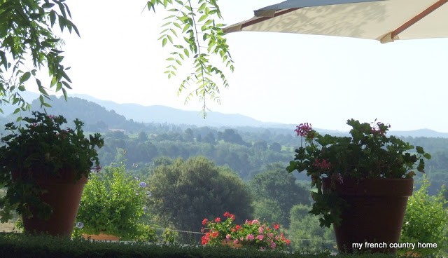 view of the valley with potted plants in the foreground