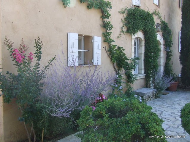 the back of a provincial home, with beige walls, with ivy and lavender