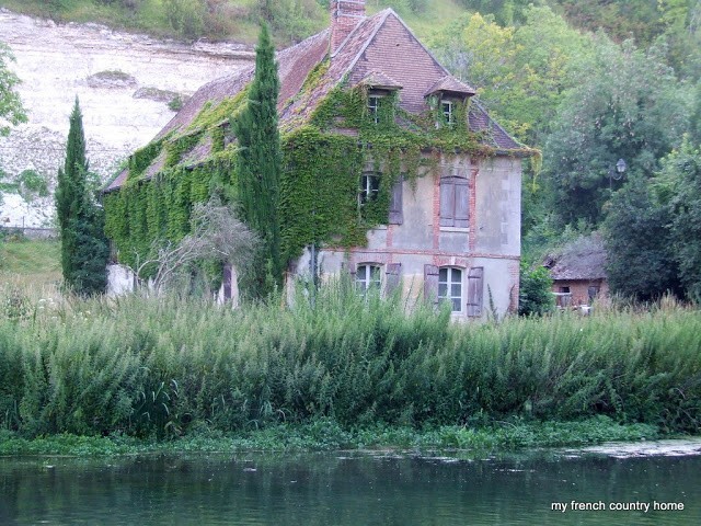 ivy-covered manor home with two large cyprus trees