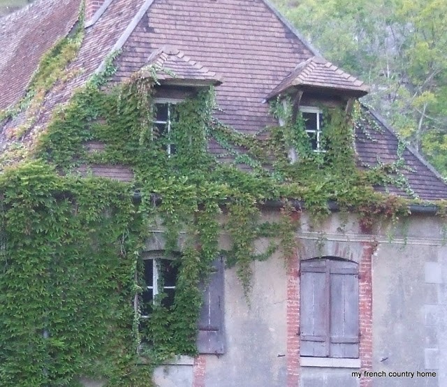detail of ivy covering the windows and roof of the manor home
