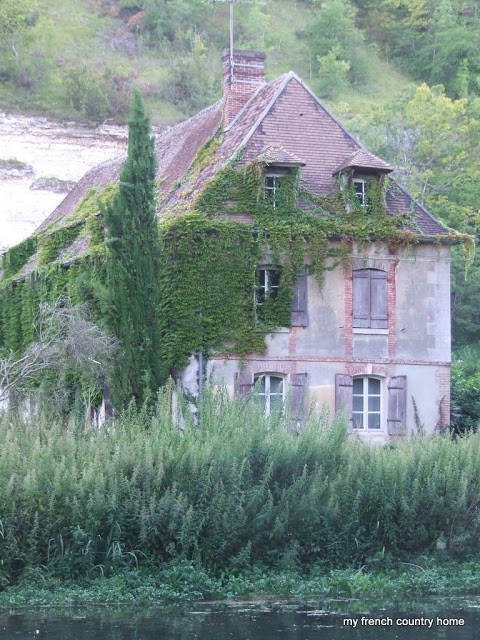 close up of ivy-covered manor home
