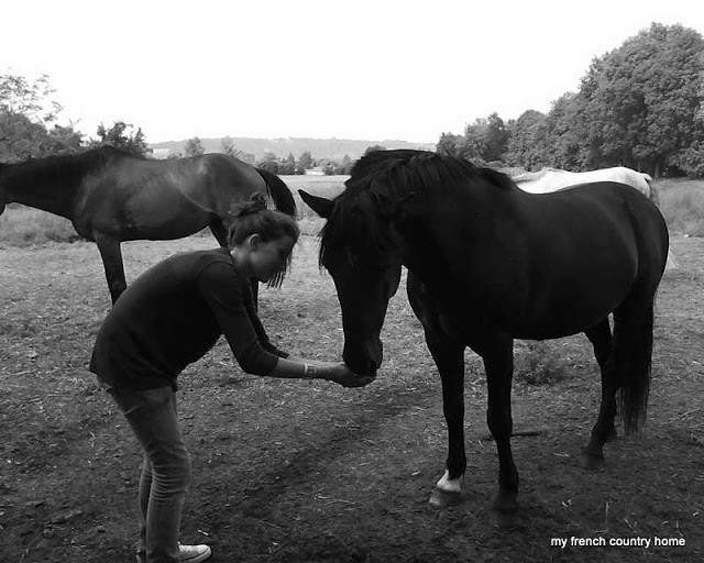 naughty-pony-my-french-country-home black and white photo of a girl feeding a horse