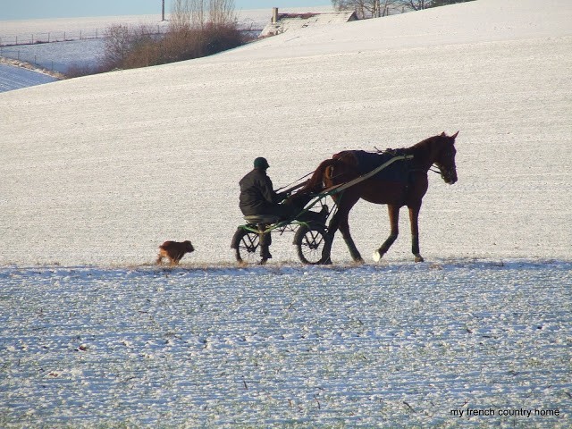 horse pulling a trotting carriage through a snowy field