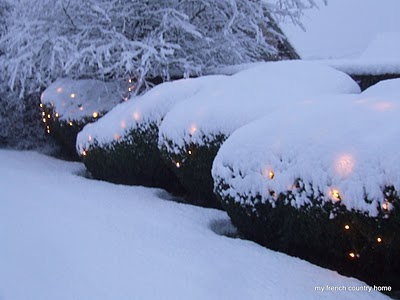 christmas lights on large bushes, covered in snow