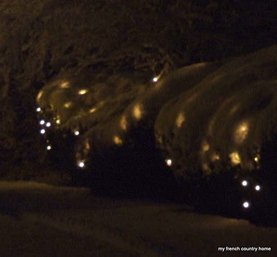 lights on the bushes shining through the snow in the dark
