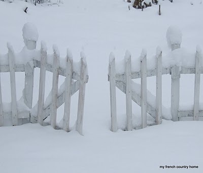 garden gate covered in deep snow