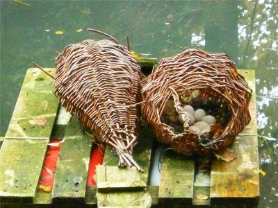 laying baskets with duck nests inside