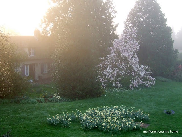 small guest cottage with trees and daffodils in the yard