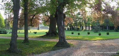 large estate with trees and small shrubs
