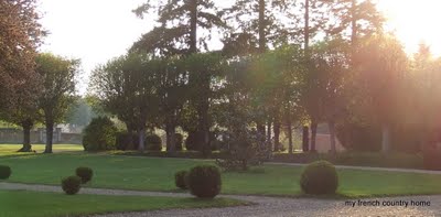 large garden with trees and shrubs