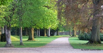 trees with new green leaves lining a road