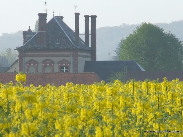 large home with multiple chimneys, behind a field of yellow flowers