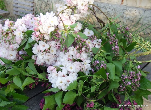 lilac and ornamental cherry blossom branches