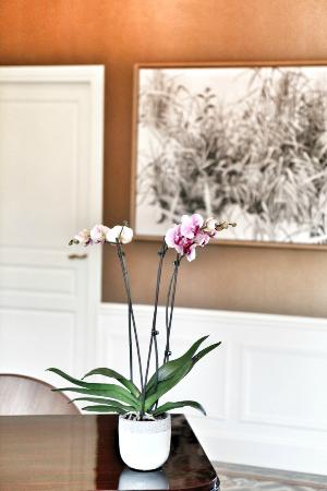 Photos de Le Jardin des Plumes - Photos de Auberge