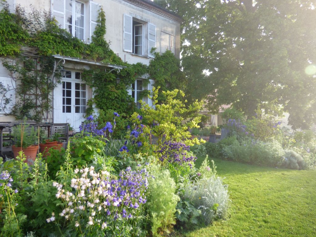 early-morning-in-the-garden-my-french-country-home