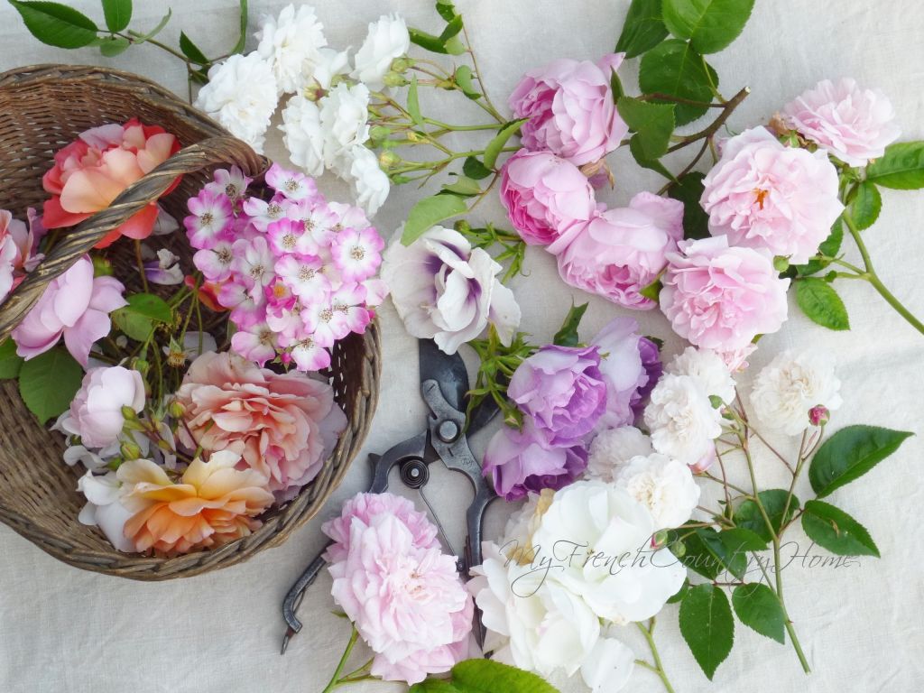 summer roses fresh from the garden - my frenchcountry home