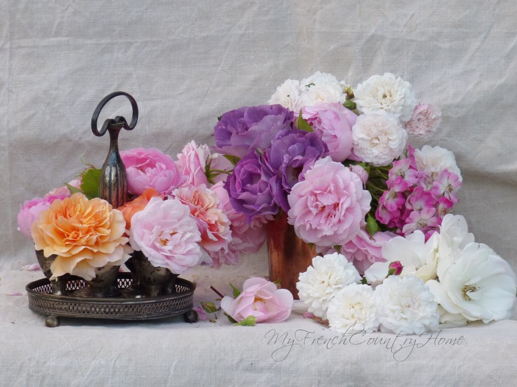 summer roses fresh from the garden - my frenchcountry home