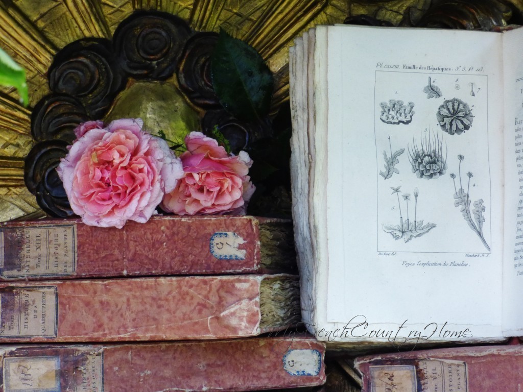 french brocante by my french country home