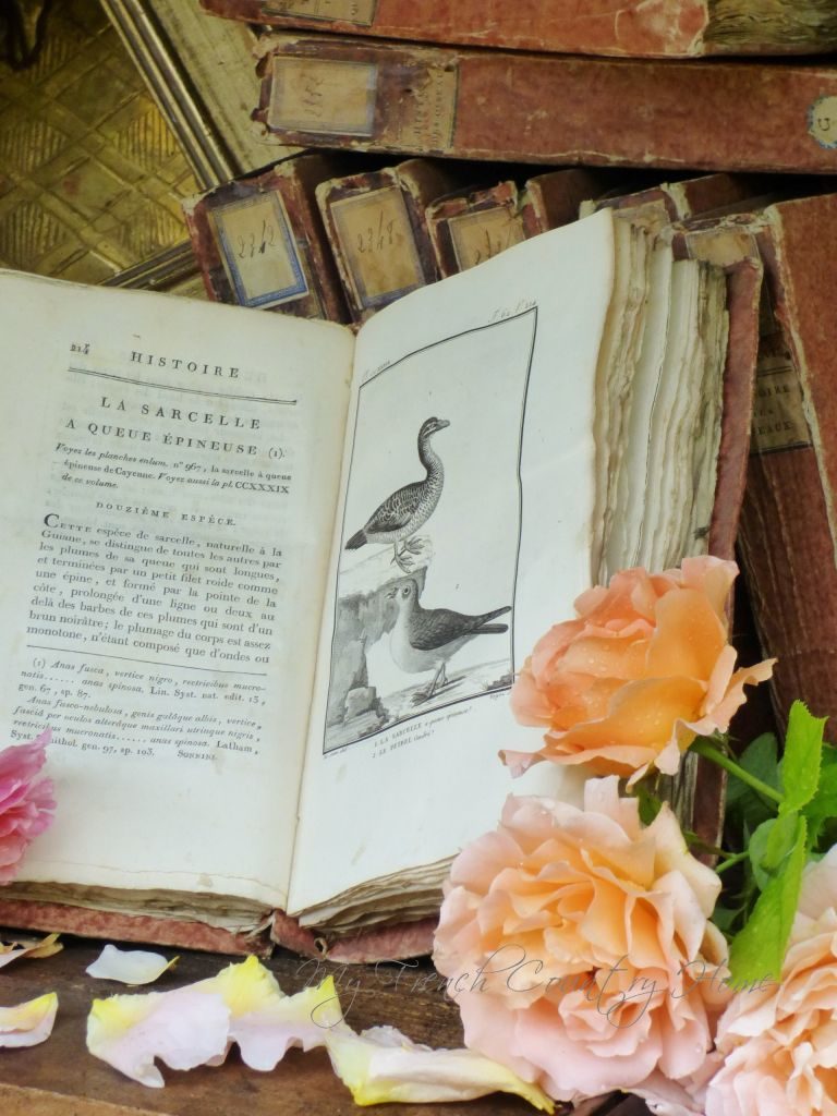 french brocante by my french country home
