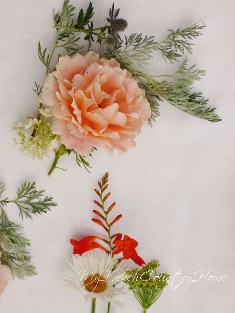 flowers, my garden, my french country home, french country