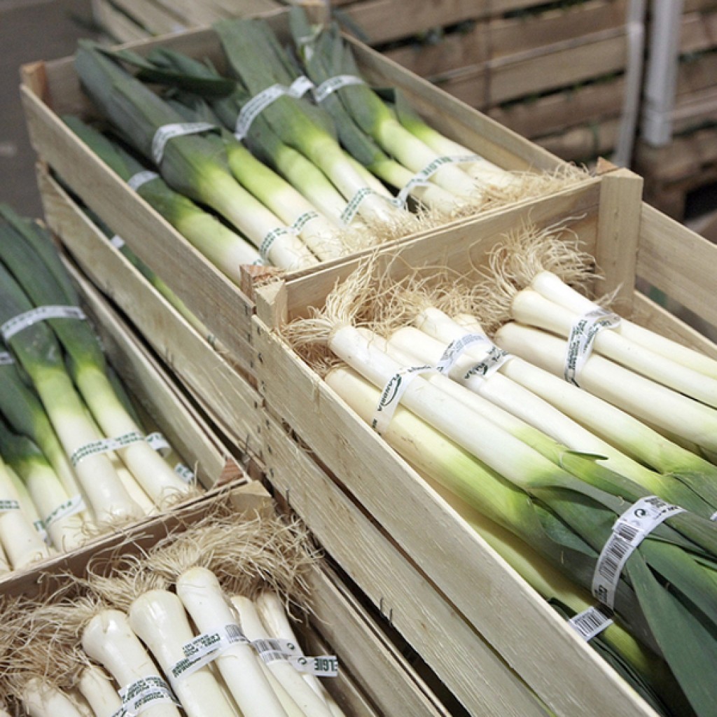 leeks in wooden crates