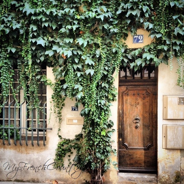 old door in aix, with ivy on the walls