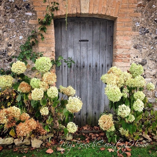 old wooden door in brick wall flanked by hydrangeas