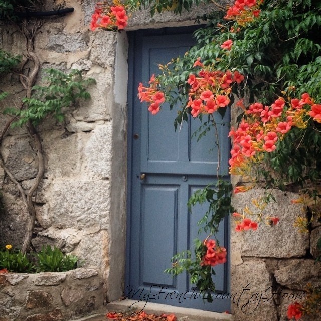 blue door with red flowers around