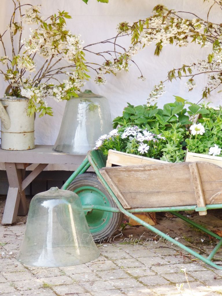 garden vignette with vintage cloches