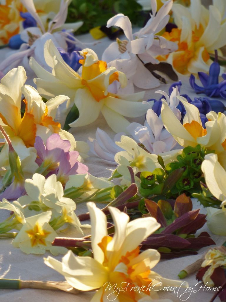 spring flowers laid out on sheet