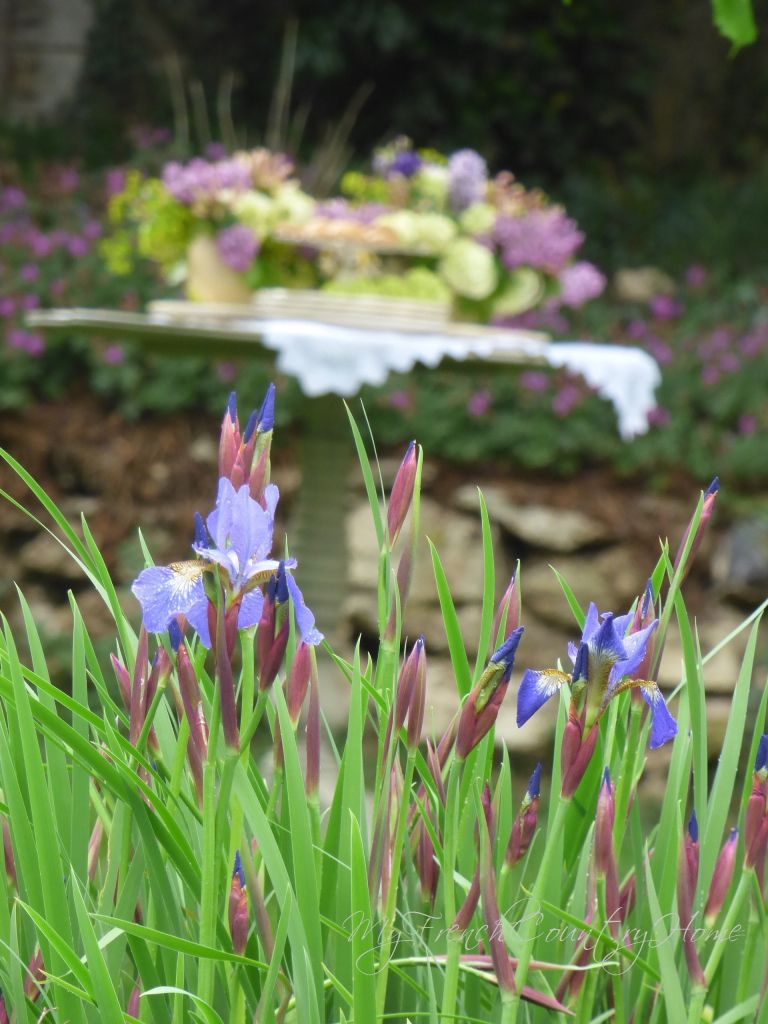 irises in the garden with a table laid in the background