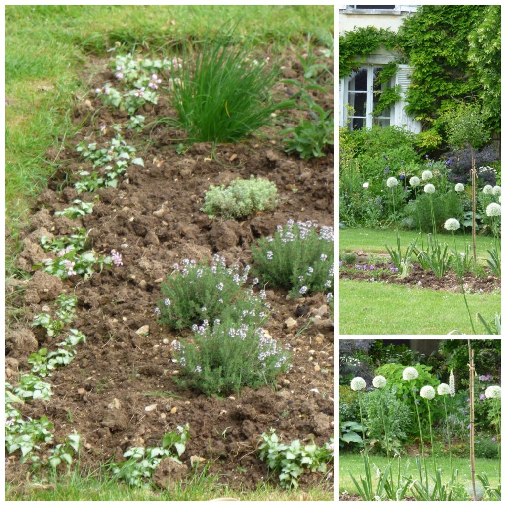 detail parterre beds 