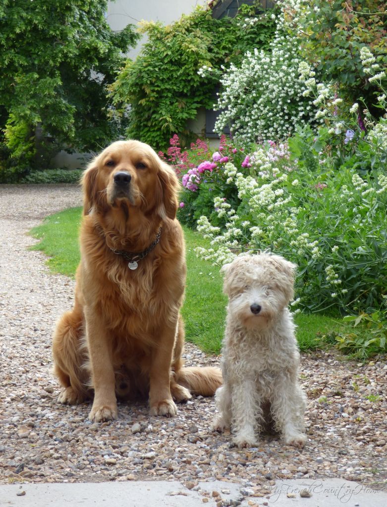 gibson and ghetto at the garden gate
