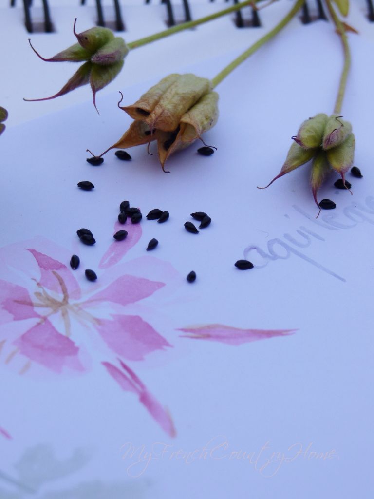making seed packets