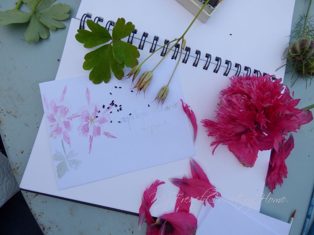 making seed packets