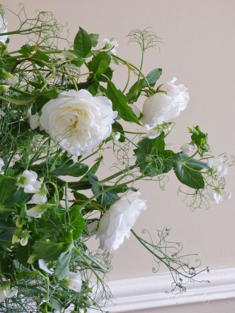 white roses and peas in a vase