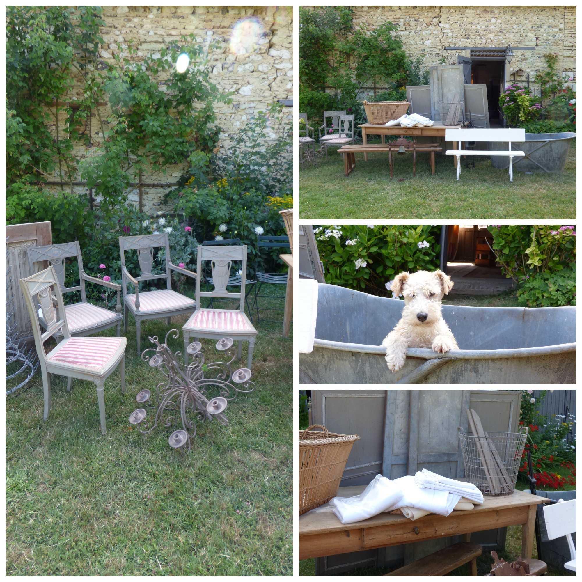 loot shoot in the garden with ghetto