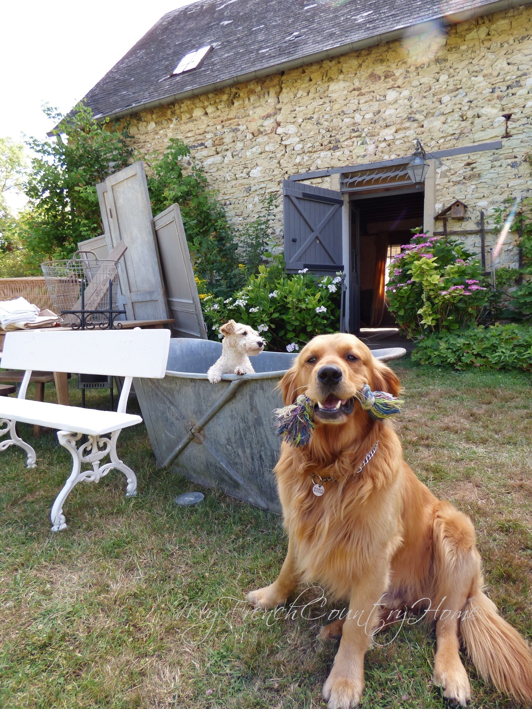 loot shoot in the garden with gibson and ghetto