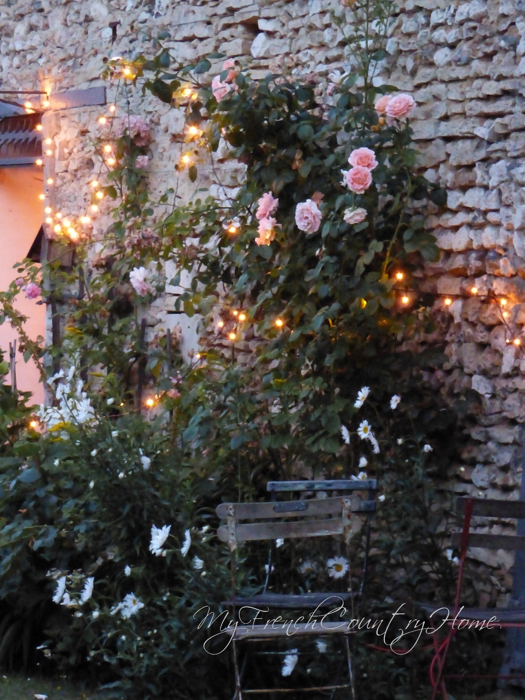 party lights and roses