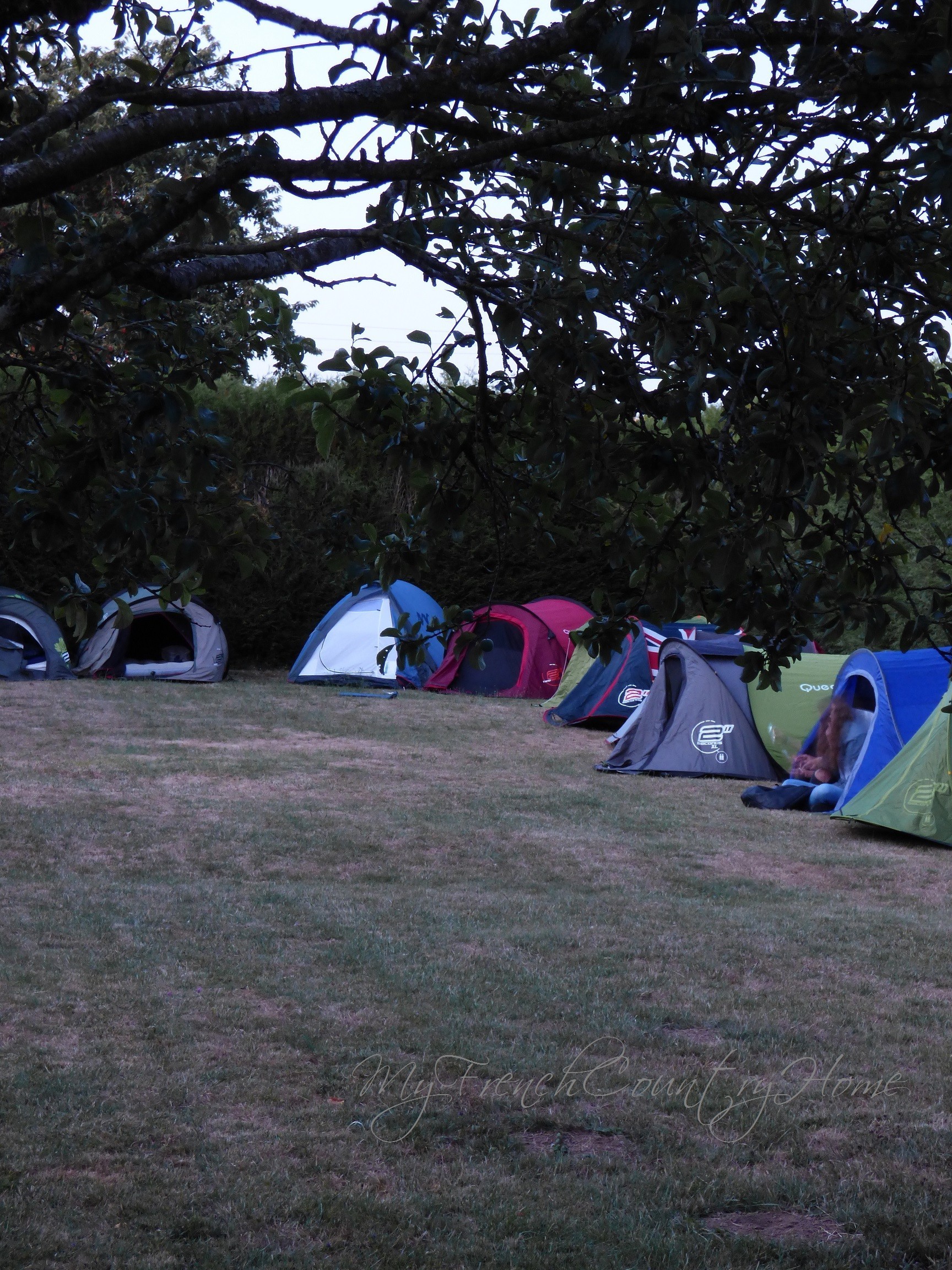 tents in the garden