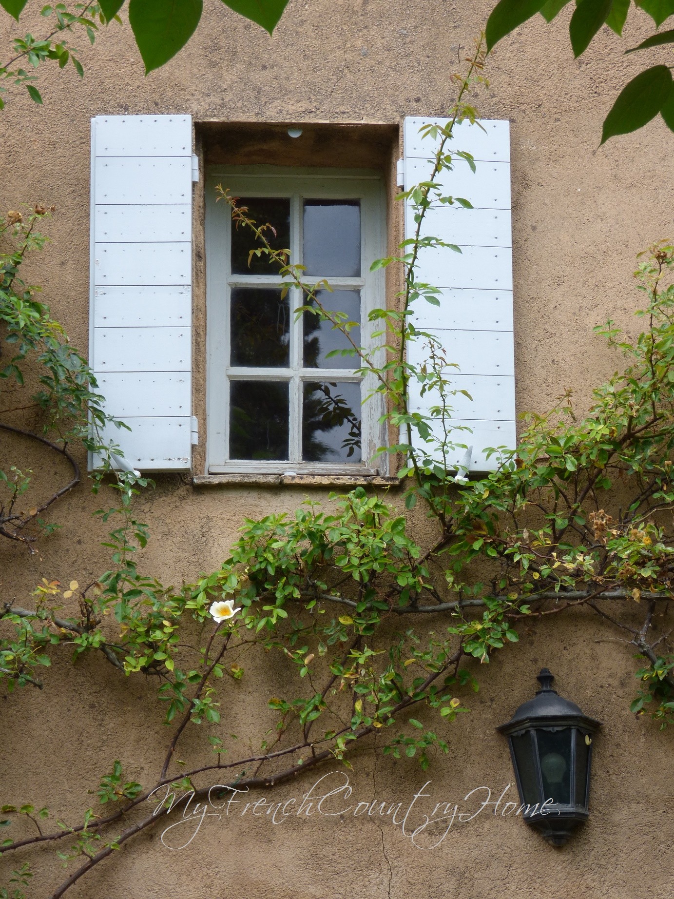 shutter detail on provence home